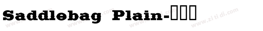 Saddlebag Plain字体转换
